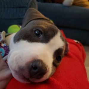 Meet your Posher, Mandi